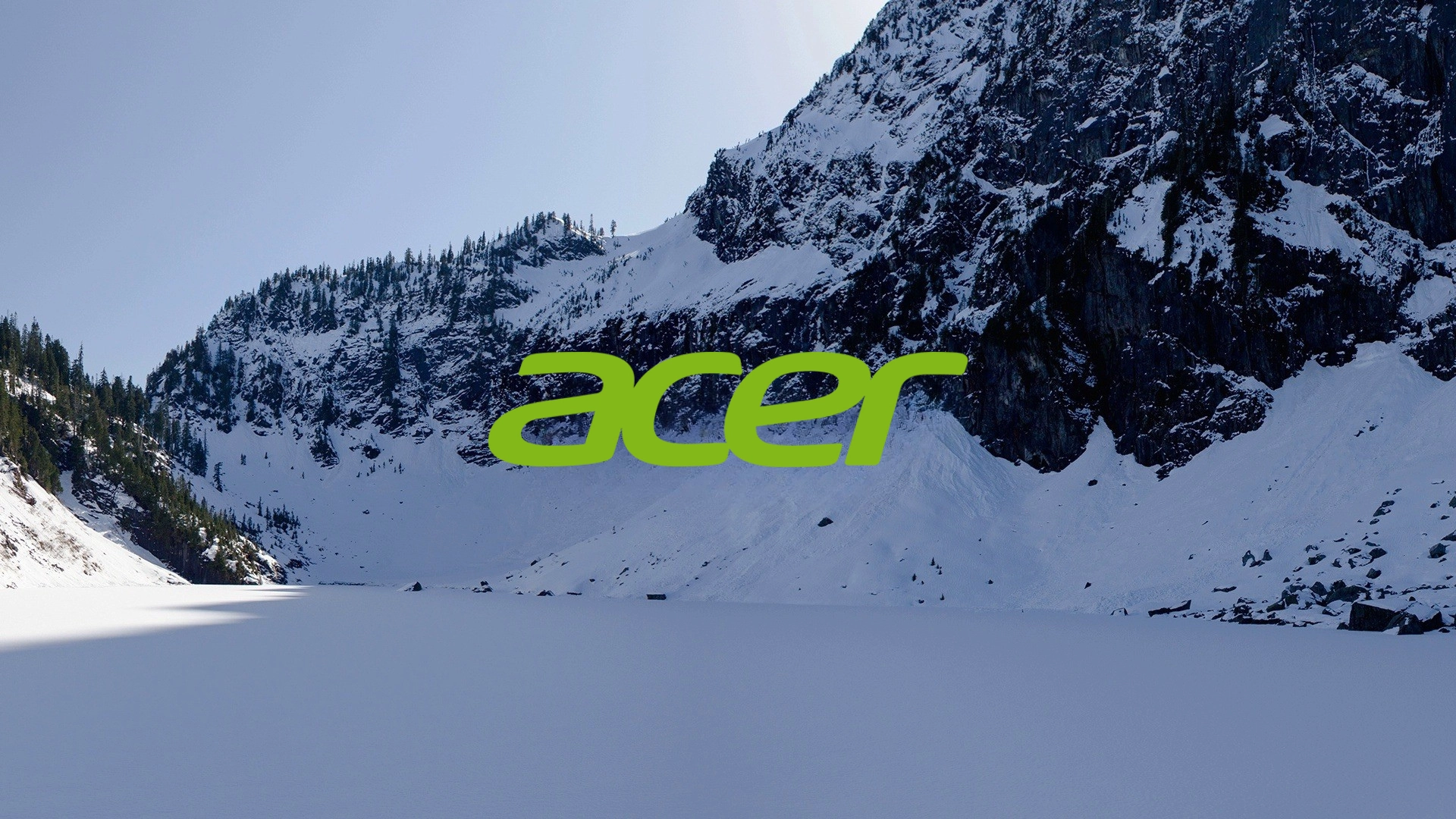 Acer